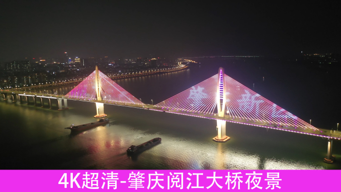 肇庆阅江大桥夜景