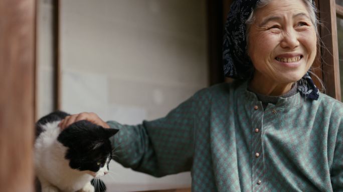 SLO MO CU——日本资深女性在外面和她的猫一起放松