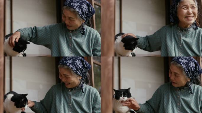 SLO MO CU——日本资深女性在外面和她的猫一起放松