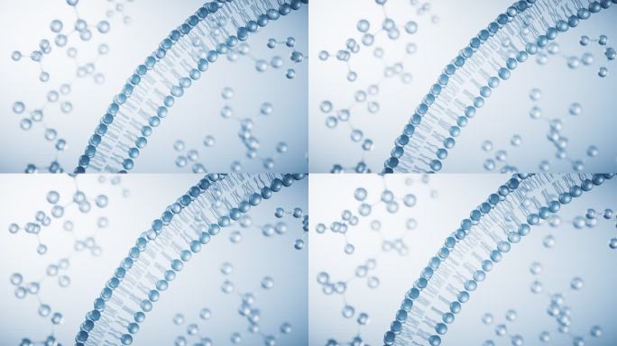 透明磷脂双分子细胞膜结构3D渲染