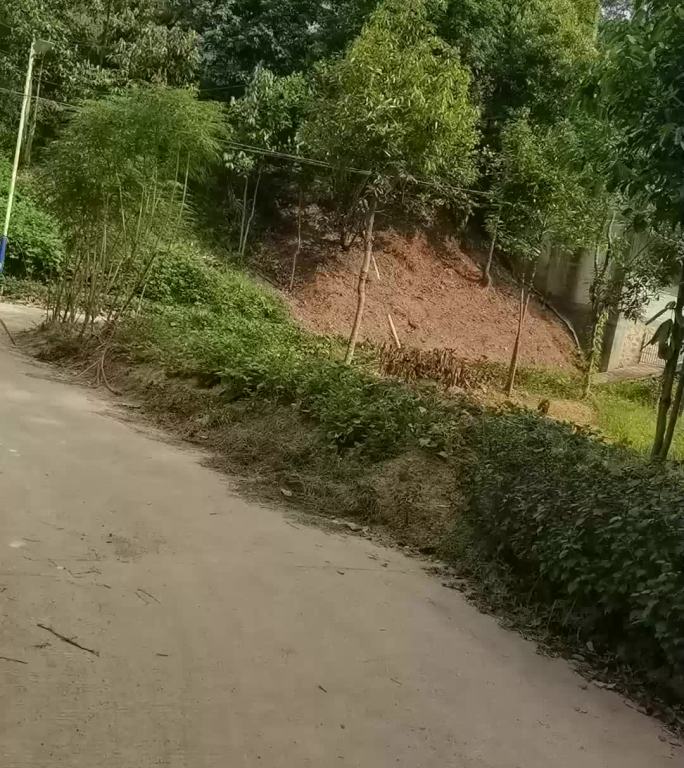 竖屏实拍，骑着摩托车在新农村的水泥路上。