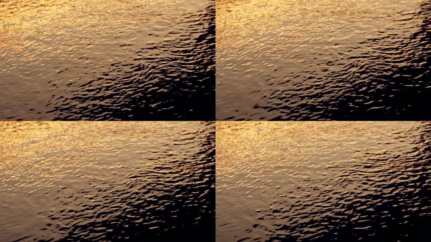 金色波光粼粼水面56