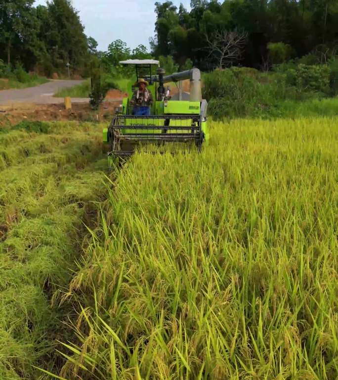 收割机割稻子丰收机械化生产水稻秋收