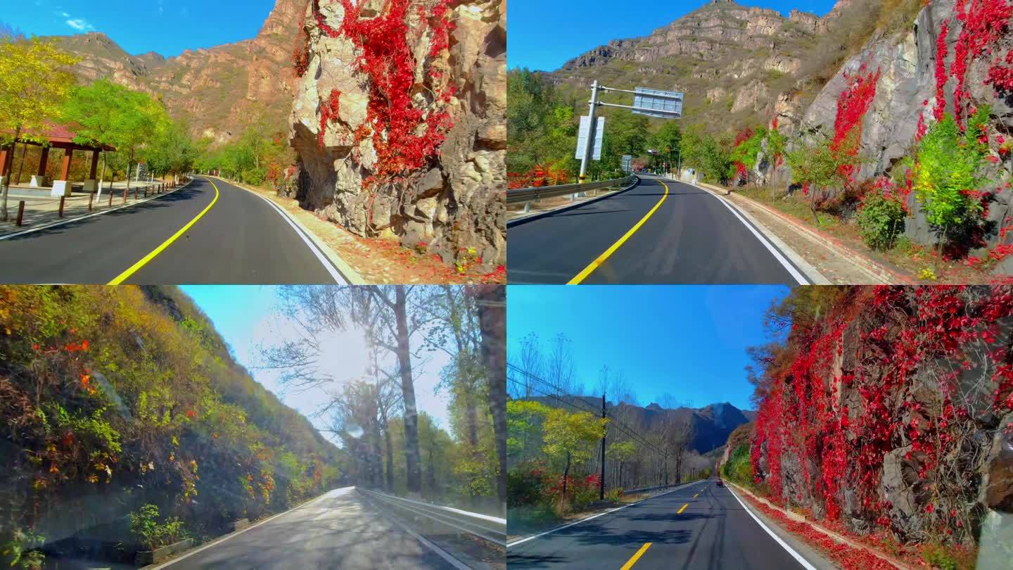 秋天红叶满山的公路