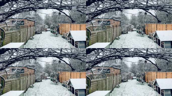 伦敦郊区住宅后花园下雪
