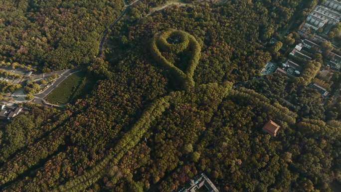 南京秋季紫金山地标航拍4K宣传片