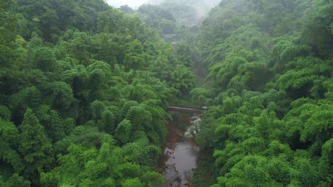 航拍夏季山间溪流竹林小雨湿漉漉烟雨蒙蒙