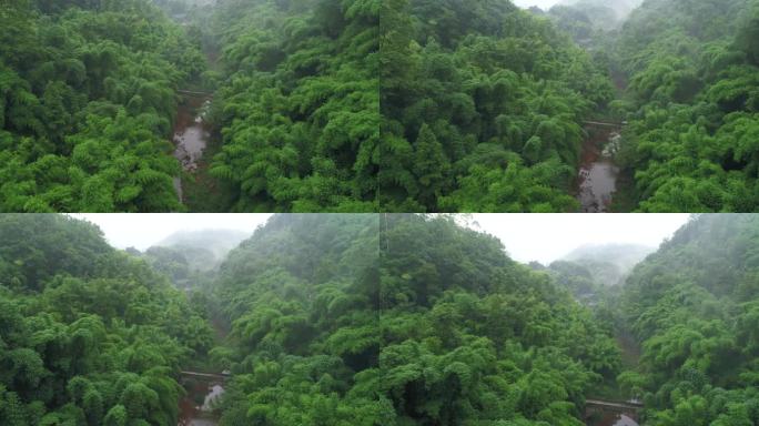 航拍夏季山间溪流竹林小雨湿漉漉烟雨蒙蒙