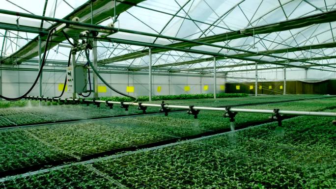 智慧农业温室科技-农业大棚科学种植灌溉