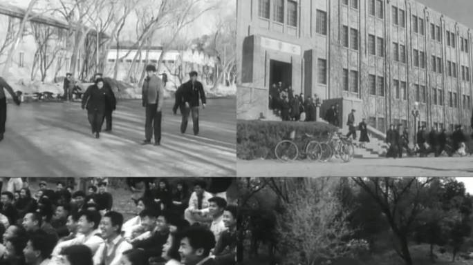 50年代大学生 知识分子