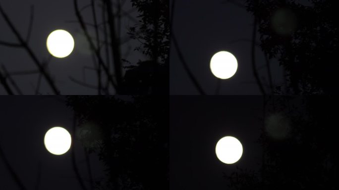 十五的月亮圆圆满满月圆之夜中秋节的月亮