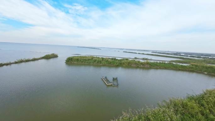 武汉沉湖国际湿地公园航拍穿越机FPV拍摄