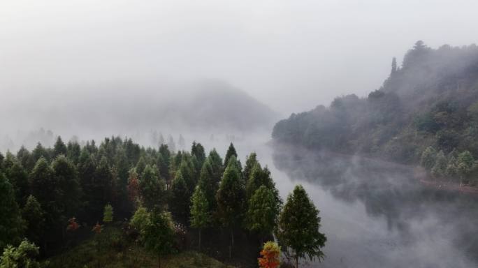 5K-水墨风的甸尾村水杉，甸尾村航拍