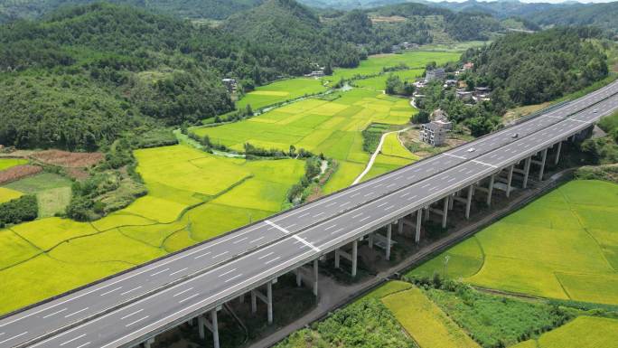 高速公路从一大片金色稻田中穿过