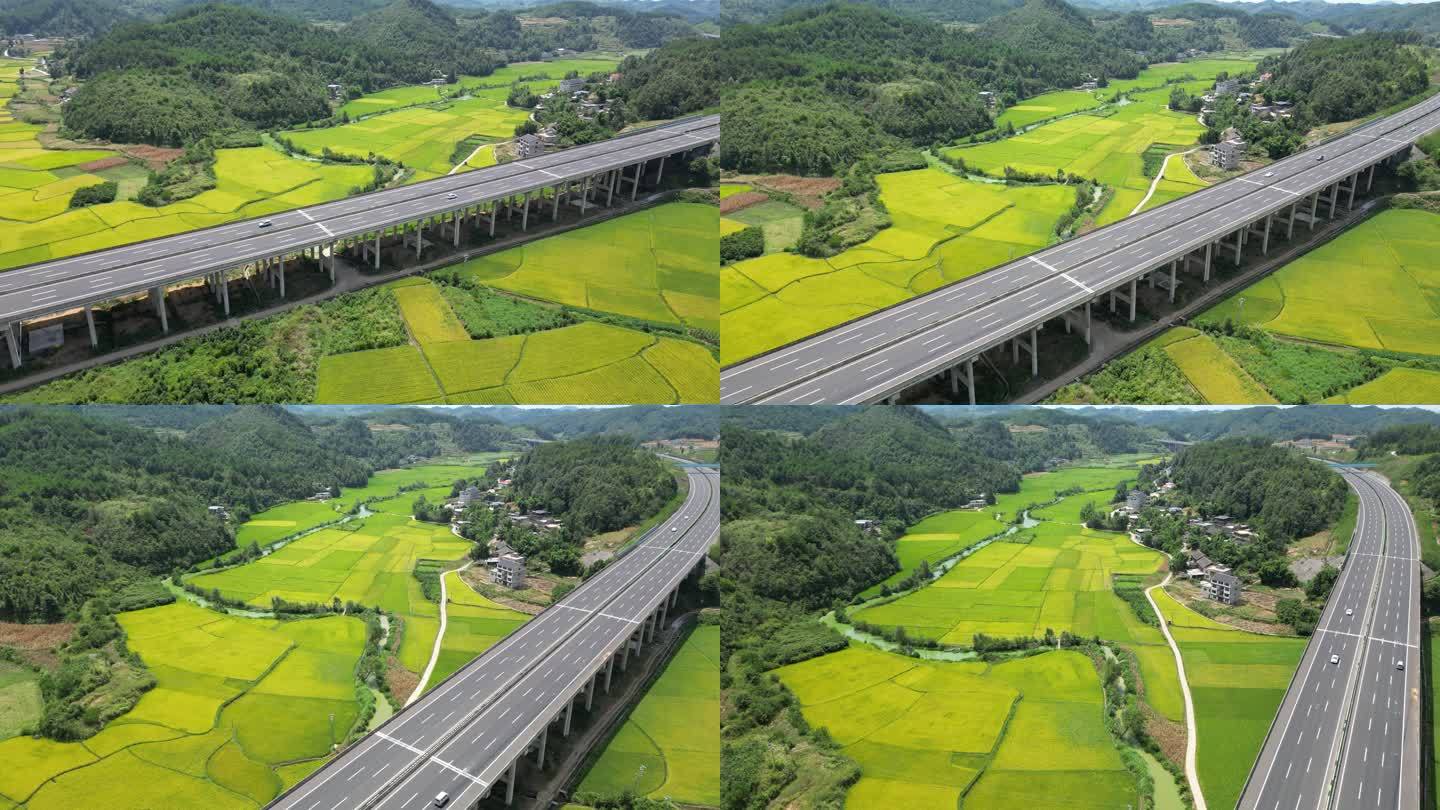 高速公路从一大片金色稻田中穿过