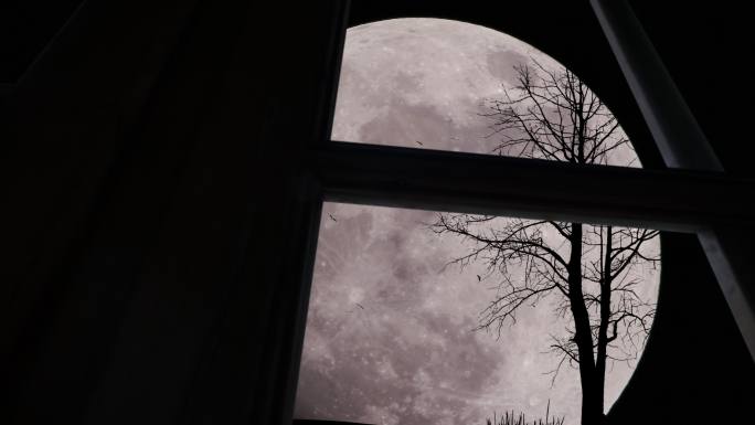 星空中的大月亮和孤零零的树