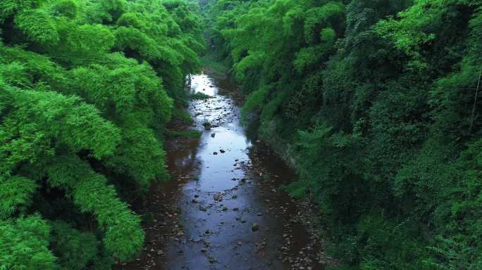 竹林小溪航拍风景