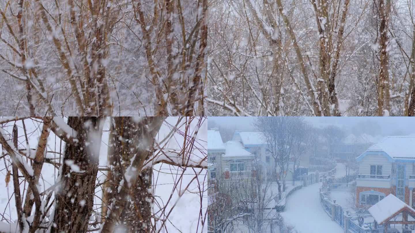 大雪纷飞冬季下雪天气