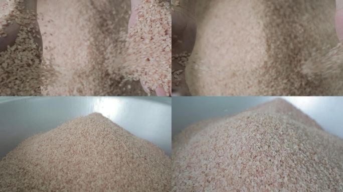 红更米 大米 香米 水稻 农业产品