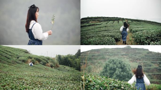 茶场唯美风景意境