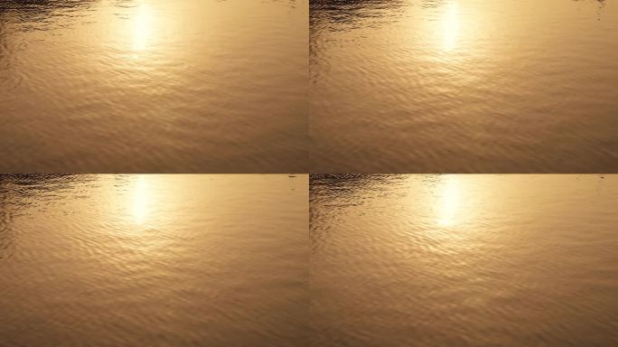 金色波光粼粼水面65