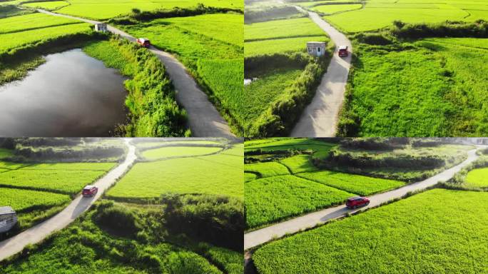 航拍追车穿越在乡村小道绿色的稻田