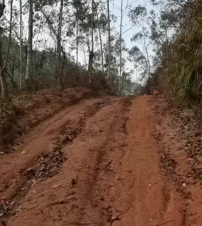 竖屏实拍，走在乡间陡峭的黄泥路上。