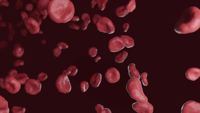 造血红细胞恢复人体供血