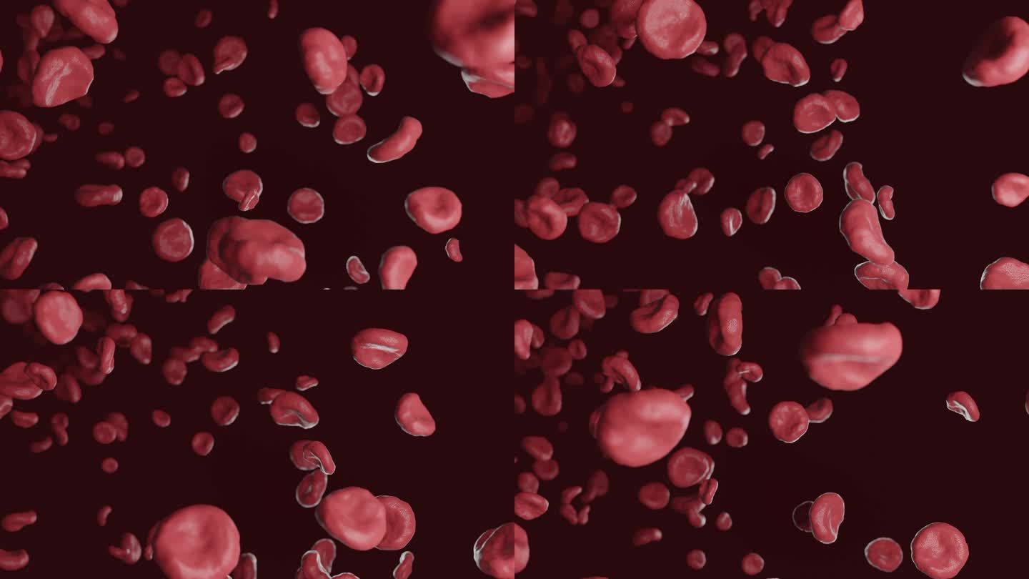 造血红细胞恢复人体供血