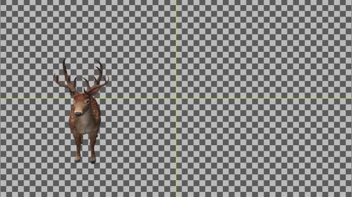 鹿三维圣诞鹿alpha