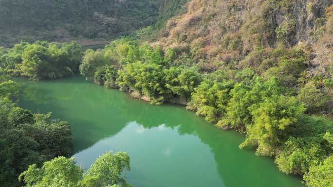 河流 水绿 绿色 自然