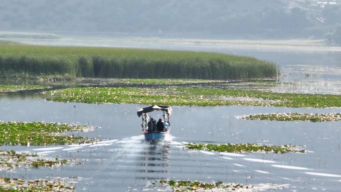 船与人一起在湖上航行的鸟瞰图，船穿过芦苇，人们乘船旅行，木船旅行，船上的人与芦苇和荷花在湖上，独木舟