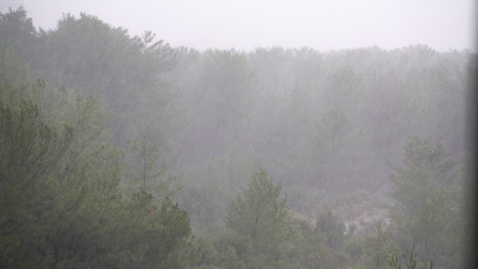土耳其安塔利亚秋季大雨。从Konyaalti区松林的窗户观看