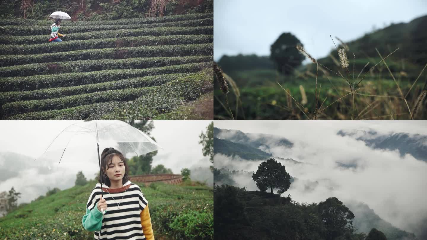 茶场唯美风女孩