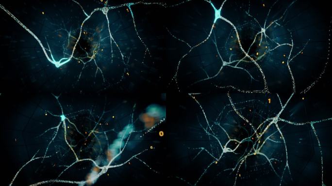 神经元网络