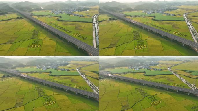 4K航拍广西日照铁路艺术稻田一镜到底