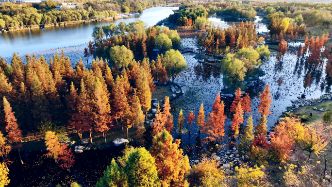 大疆御三航拍6条4K湿地公园秋天景色素材
