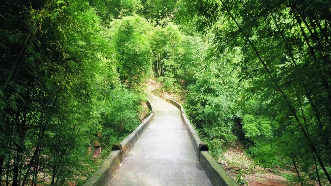 竹林小桥山林风景