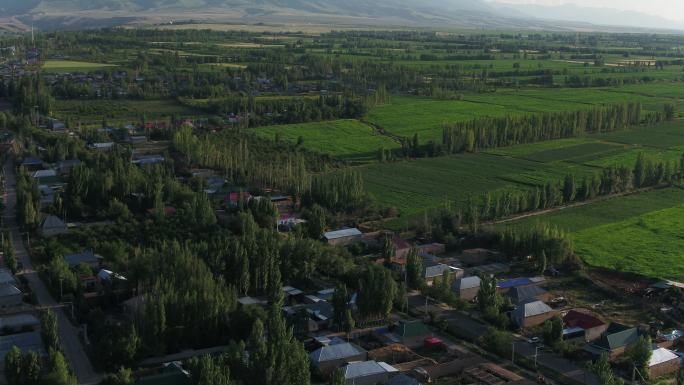 航拍新疆伊犁喀赞其的名居 屋顶 彩色屋顶