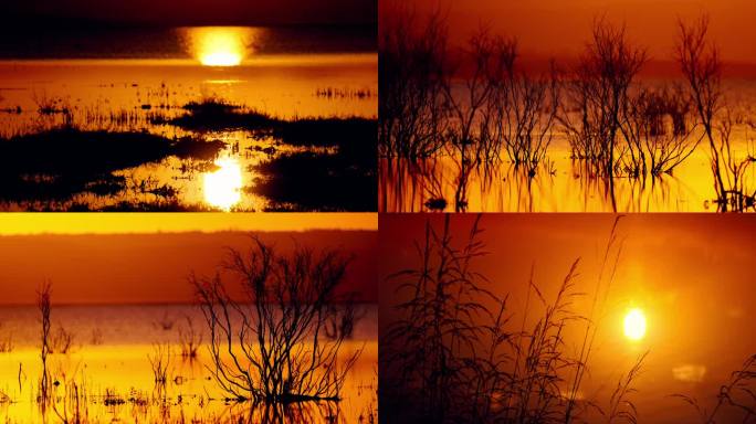 夕阳下的湖边 湖边日落