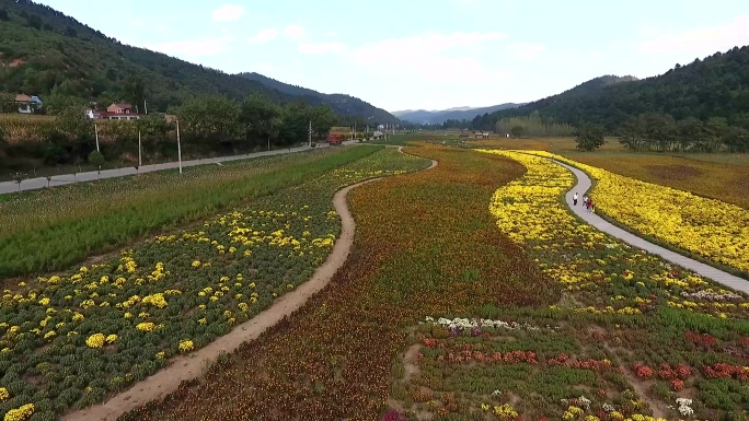 铜川玉华宫风景区