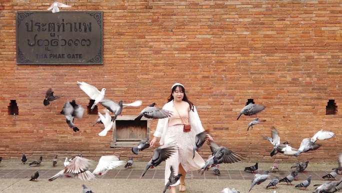 泰国清迈省一名亚洲女子与一群鸽子同行