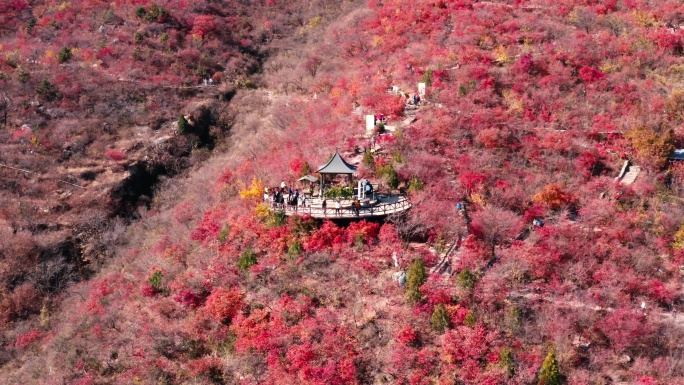 北京坡峰岭红叶秋景高清航拍