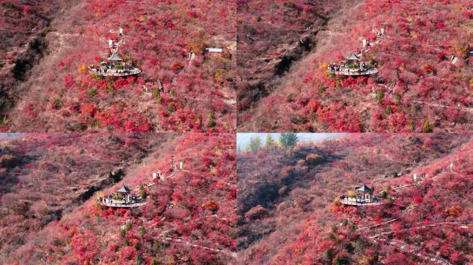 北京坡峰岭红叶秋景高清航拍