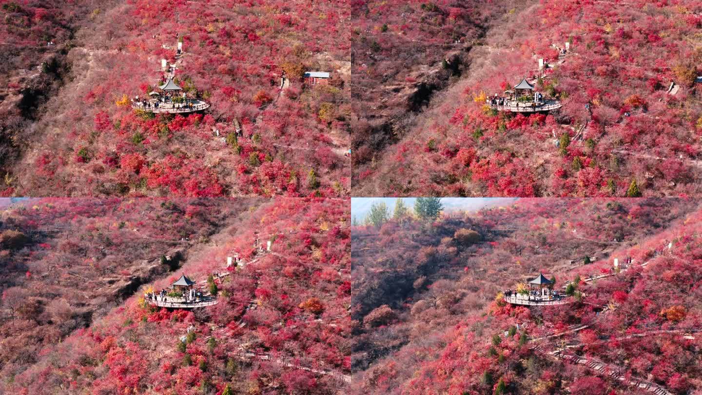 北京坡峰岭红叶秋景高清航拍