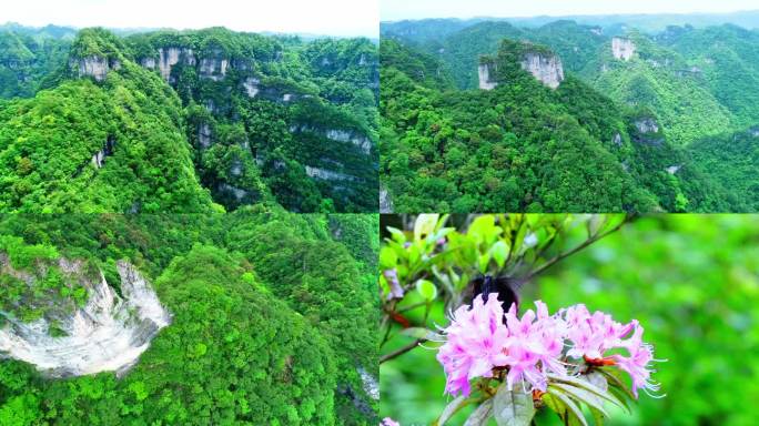 贵州云台山