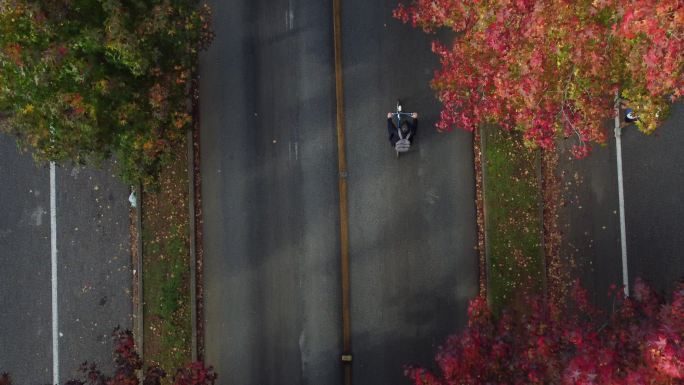 秋天，工人骑自行车在树木繁茂的街道上工作