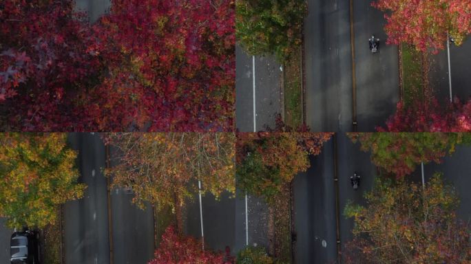 秋天，工人骑自行车在树木繁茂的街道上工作
