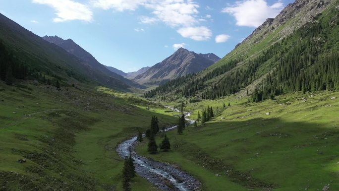 新疆自然风光露营航拍