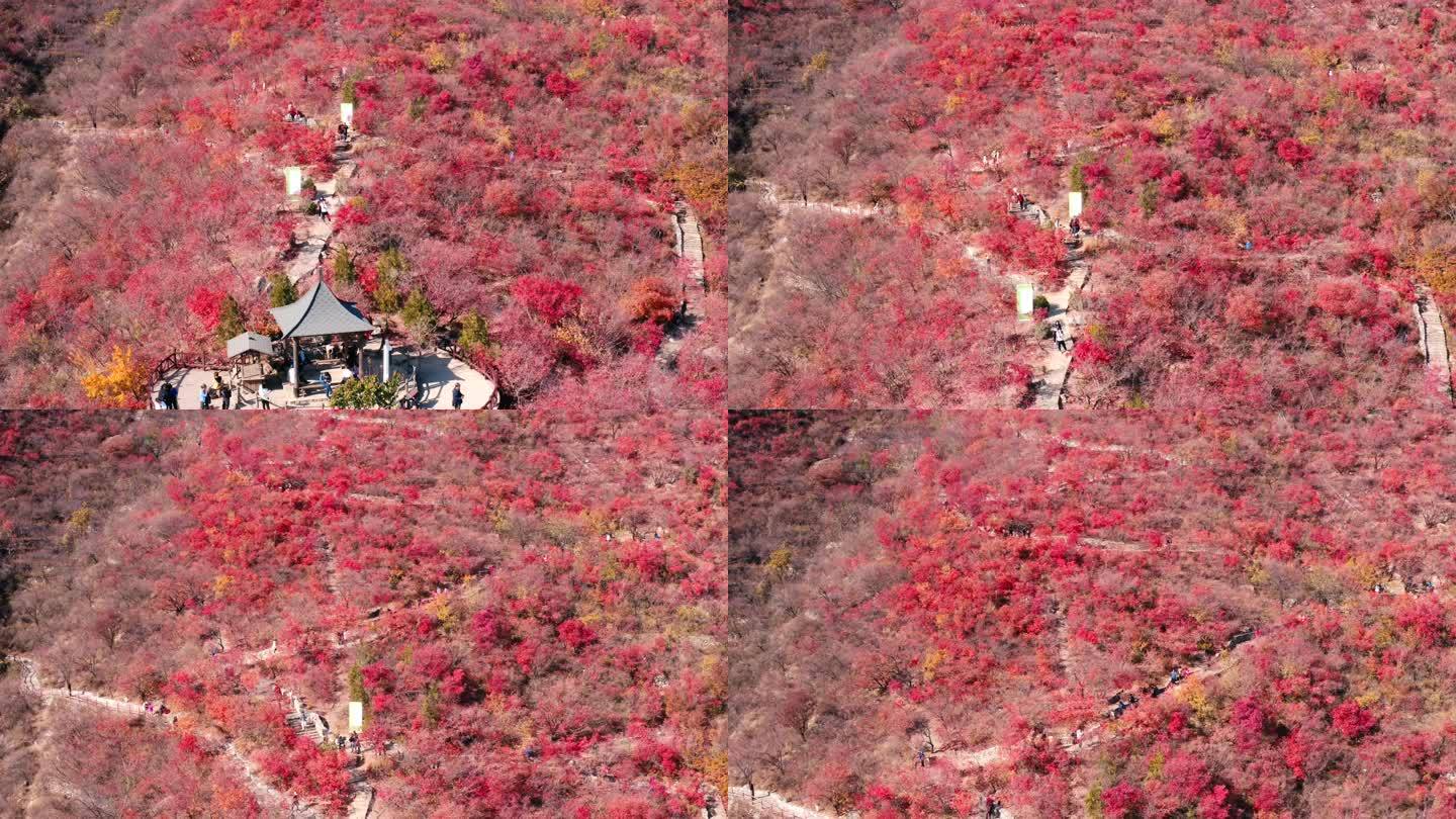 北京坡峰岭红叶秋景绝美航拍